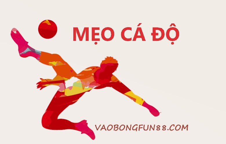 Cá độ bóng đá là gì? Cá độ bóng đá là gì?